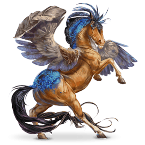 cheval nomade oiseau alcedo