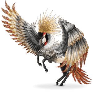 cheval nomade oiseau baléarica