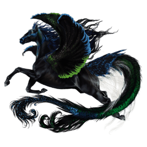 cheval nomade oiseau epimon