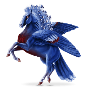 cheval nomade oiseau goura