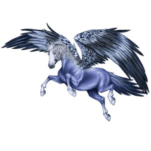 cheval nomade oiseau melopsis