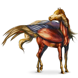 cheval nomade oiseau phasia