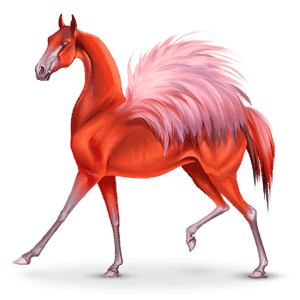 cheval nomade oiseau phoenico