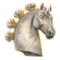 pions de crinière
