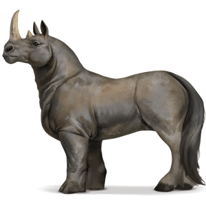 chimerique-rhinoceros